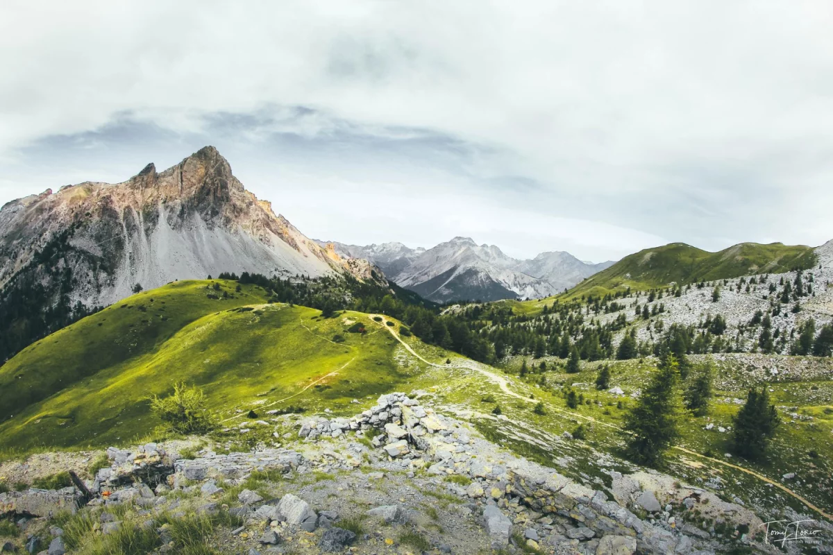 10 Faktów, Które Zmienią Wszystko Co Myślałeś O Tym Jak robić imprezy