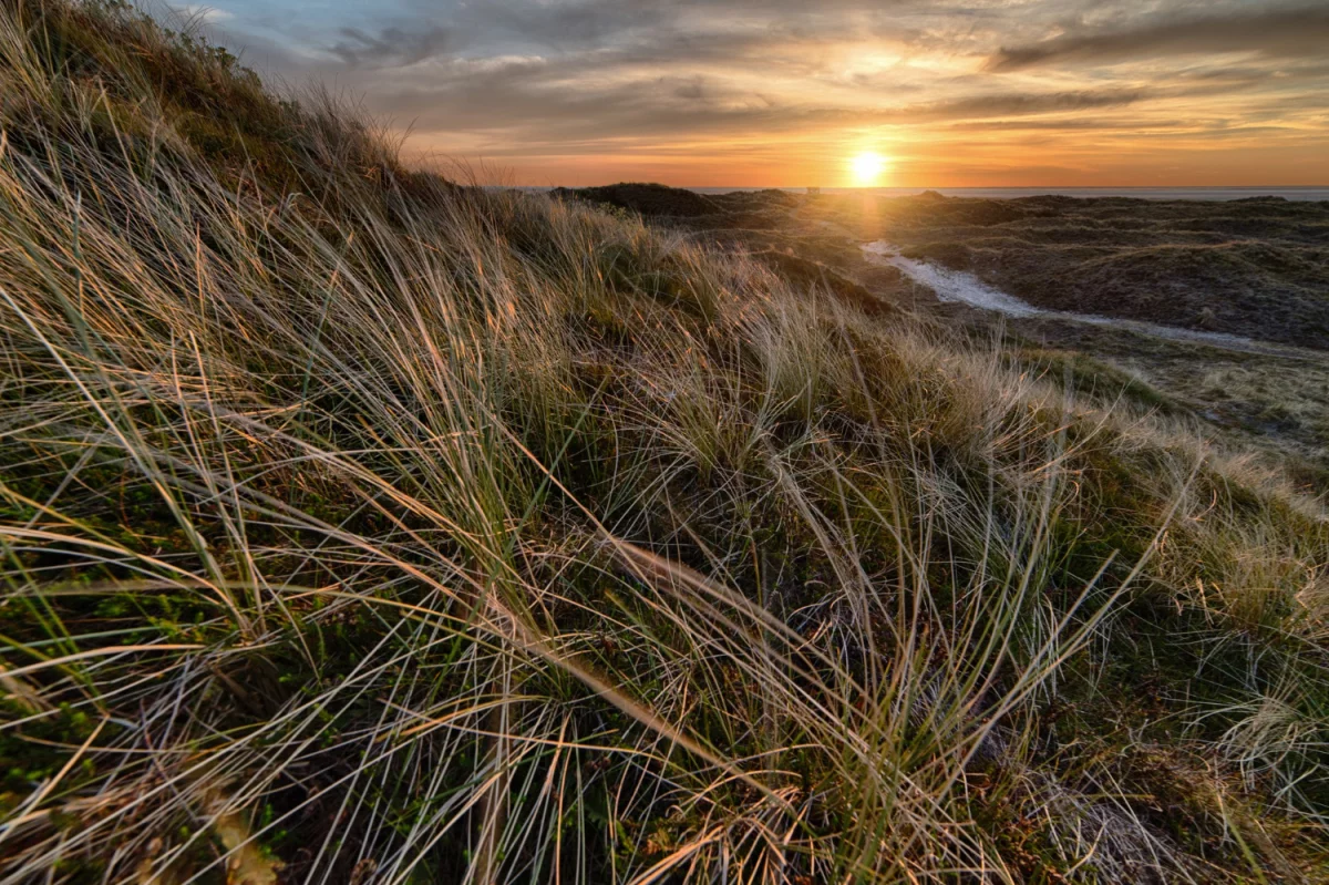 Sprawdzone metody jak zrozumieć informatykę