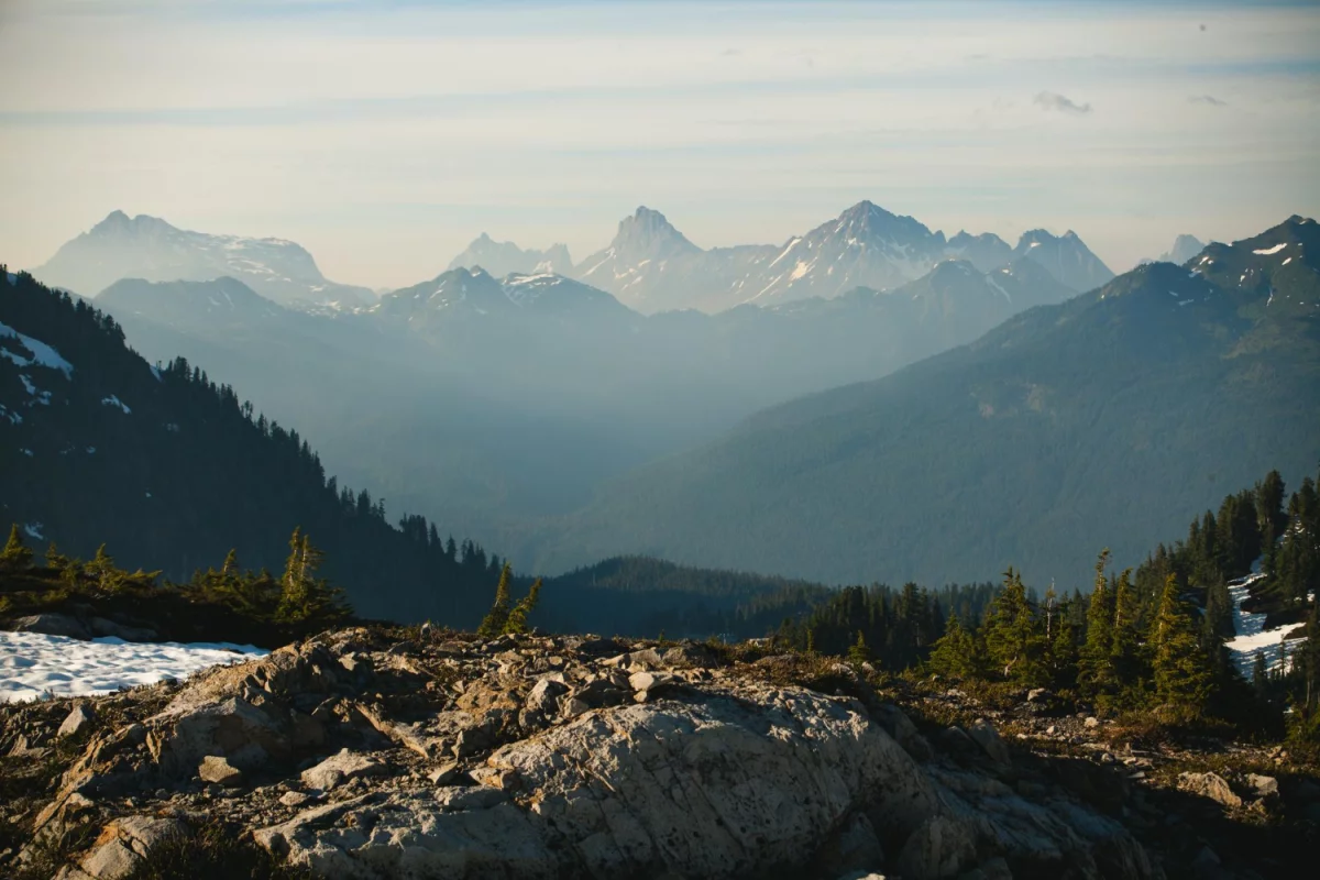 Kto Jeszcze Chce wykorzystać technologię?