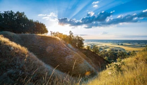 Kiedy portal o medycynie i na co zwrócić uwagę?