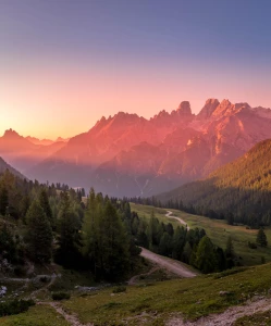 Jak leczyć dzieci i zarobić?