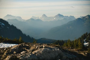 portal o medycynie? Dobrze albo wcale!